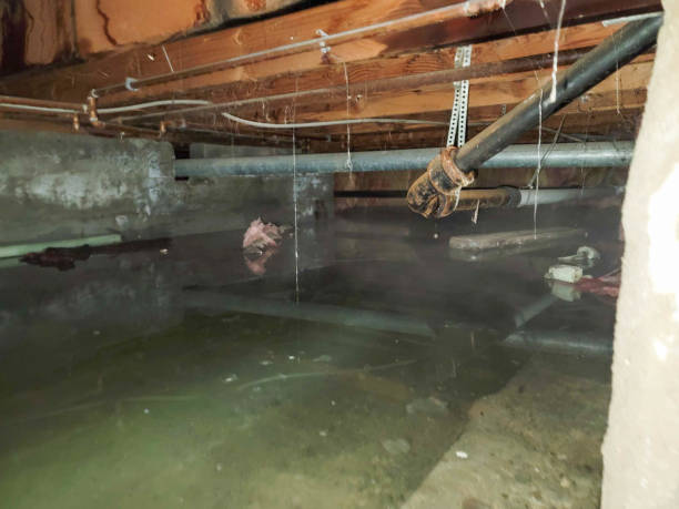 Best Flooded house restoration  in Seatac, WA