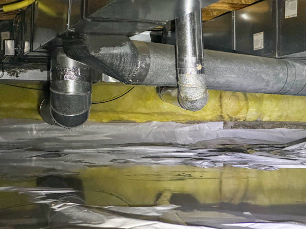 Best Carpet water damage restoration  in Seatac, WA