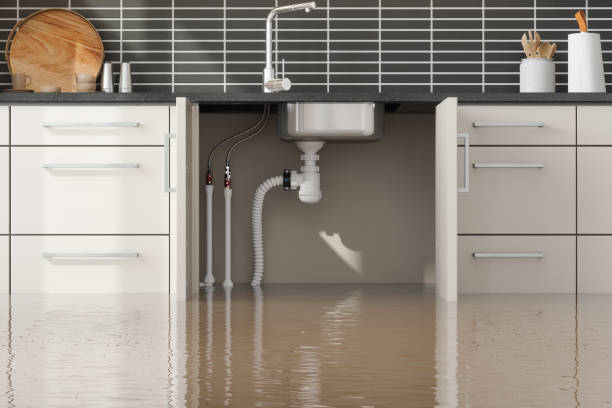 Best Commercial water damage restoration  in Seatac, WA