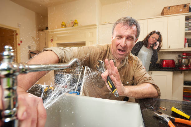 Best Basement water damage restoration  in Seatac, WA
